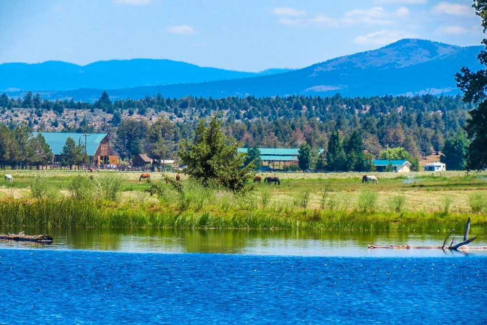 Long Hollow Ranch主图