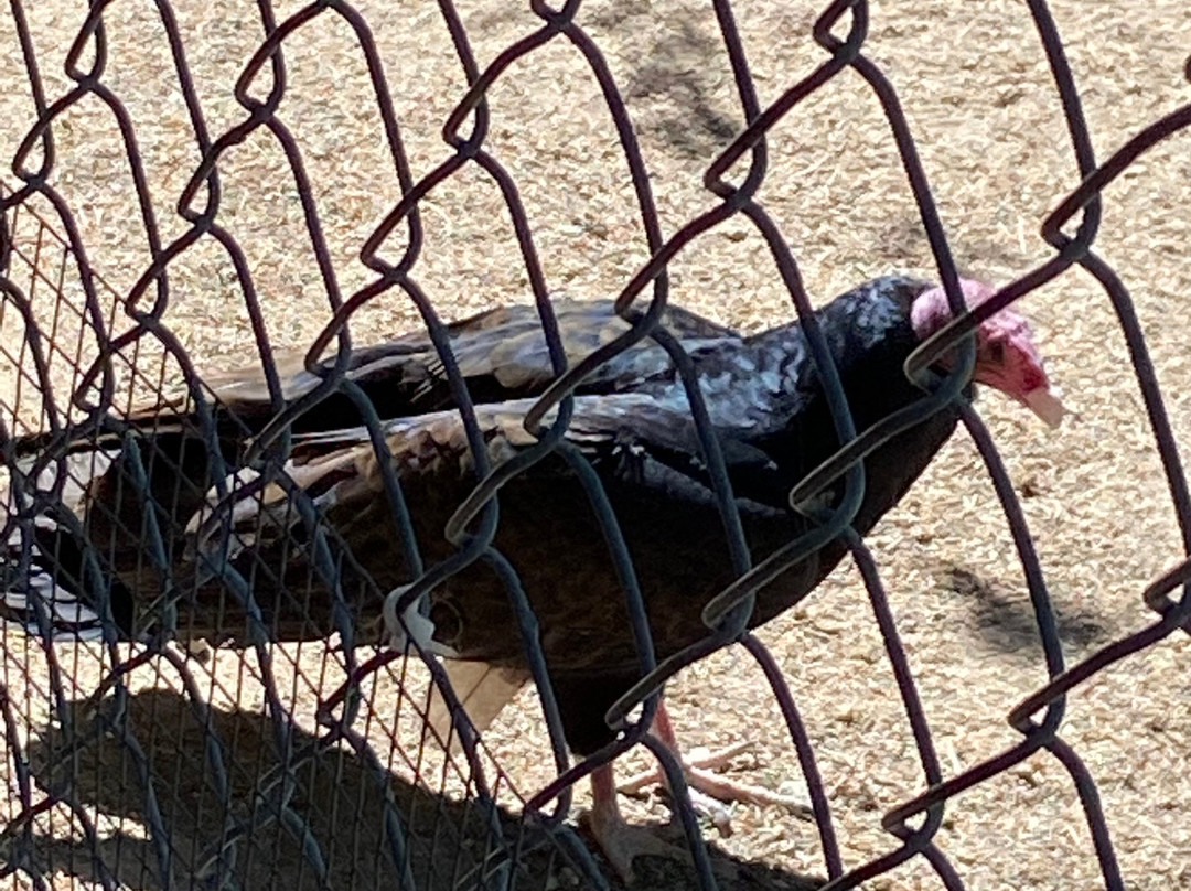 Wildhaven Ranch-箭头湖必去景点