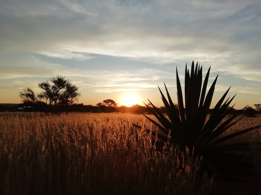 Hoachanas旅游攻略图片