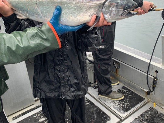 Old Harbor旅游攻略图片