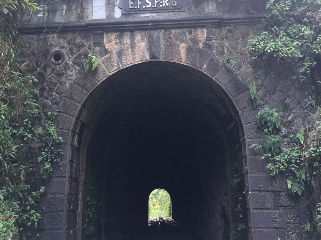 Túnel Ferroviario De Pinheiro Preto景点图片