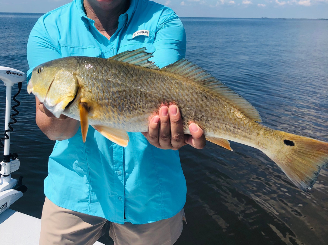 Griffin Fishing Charters & Lodge景点图片