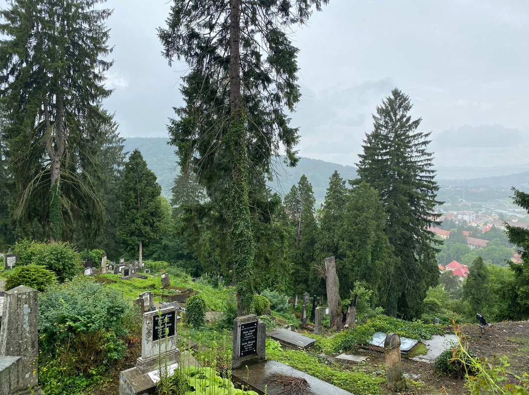 Cementerio aleman de Sighisoara景点图片
