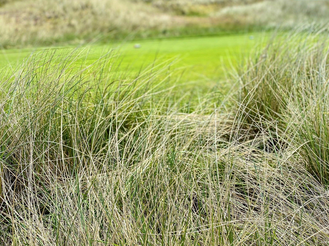 Golf Club Budersand-Hornum必去景点