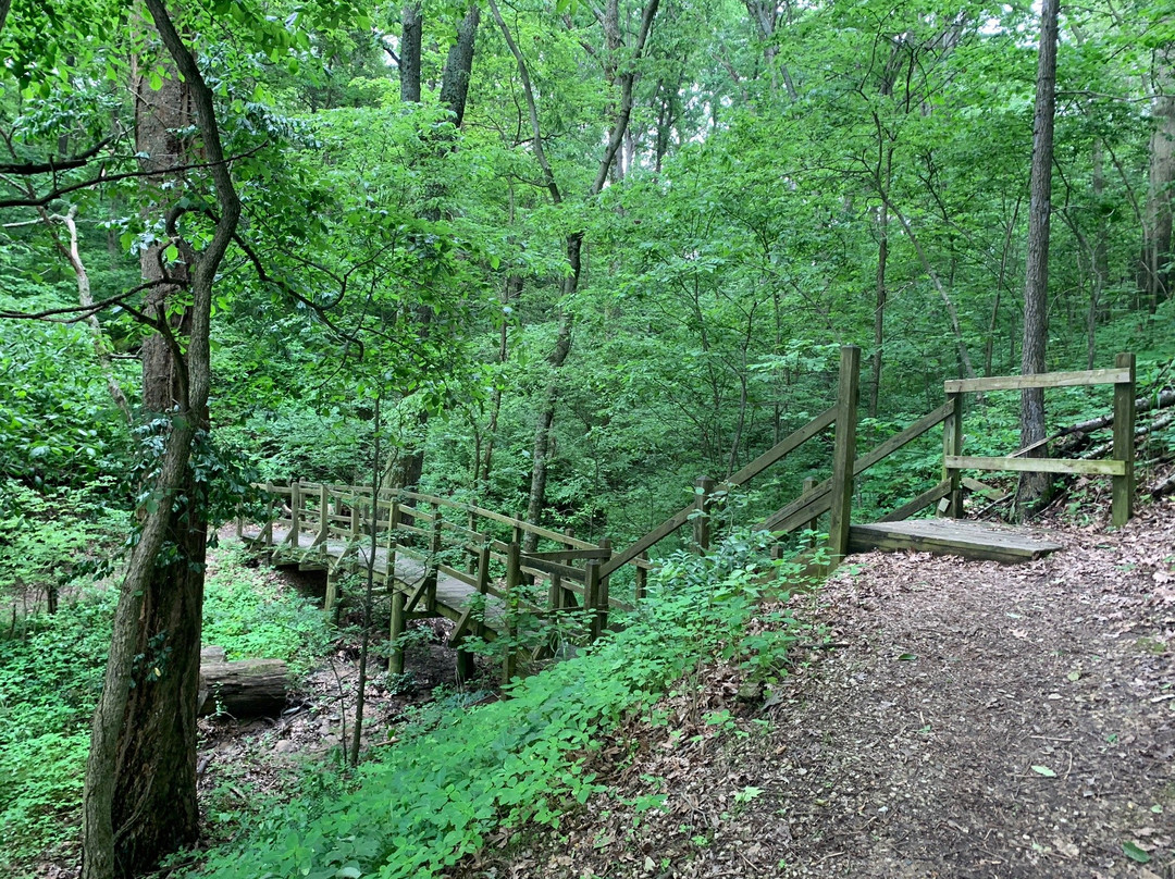 Eldon Hazlet State Park景点图片