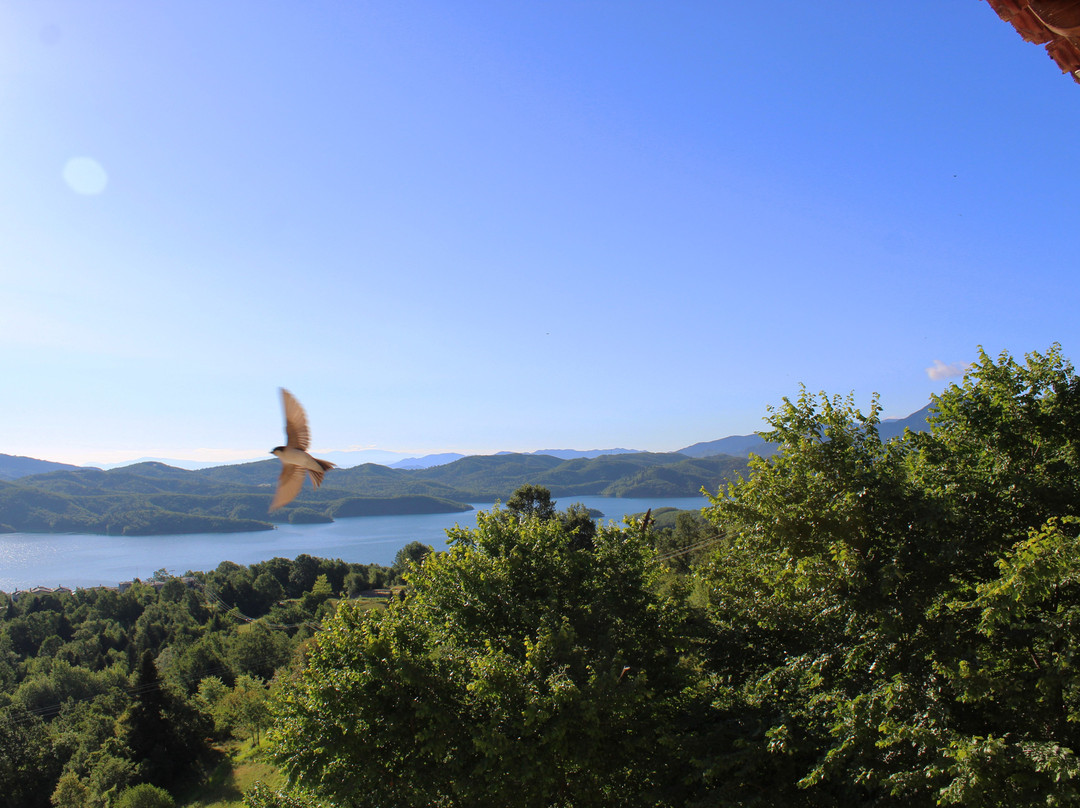 Nevros Resort & Spa主图