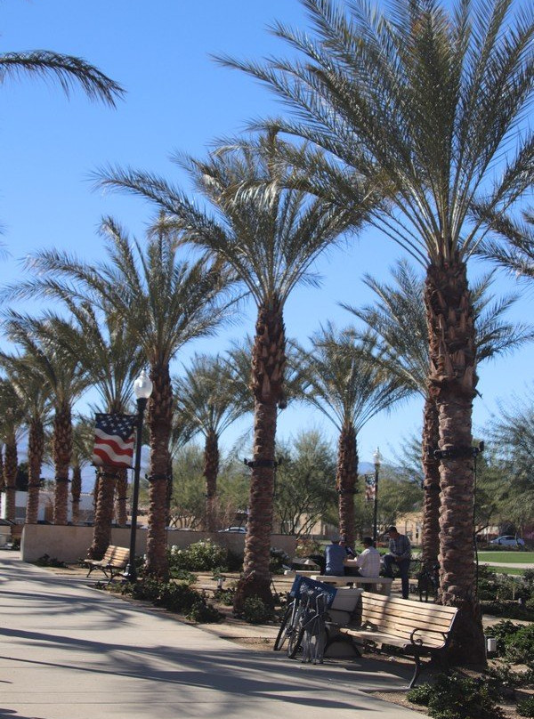 Coachella Veterans Memorial Park-Coachella必去景点