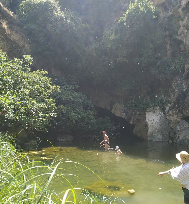 Saar Falls-加利利必去景点