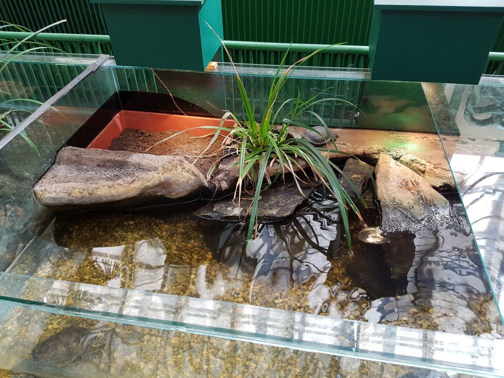 Vivarium Elapsoidea-梅林必去景点