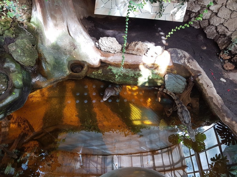Elapsoidea Vivarium de Meyrin-梅林必去景点