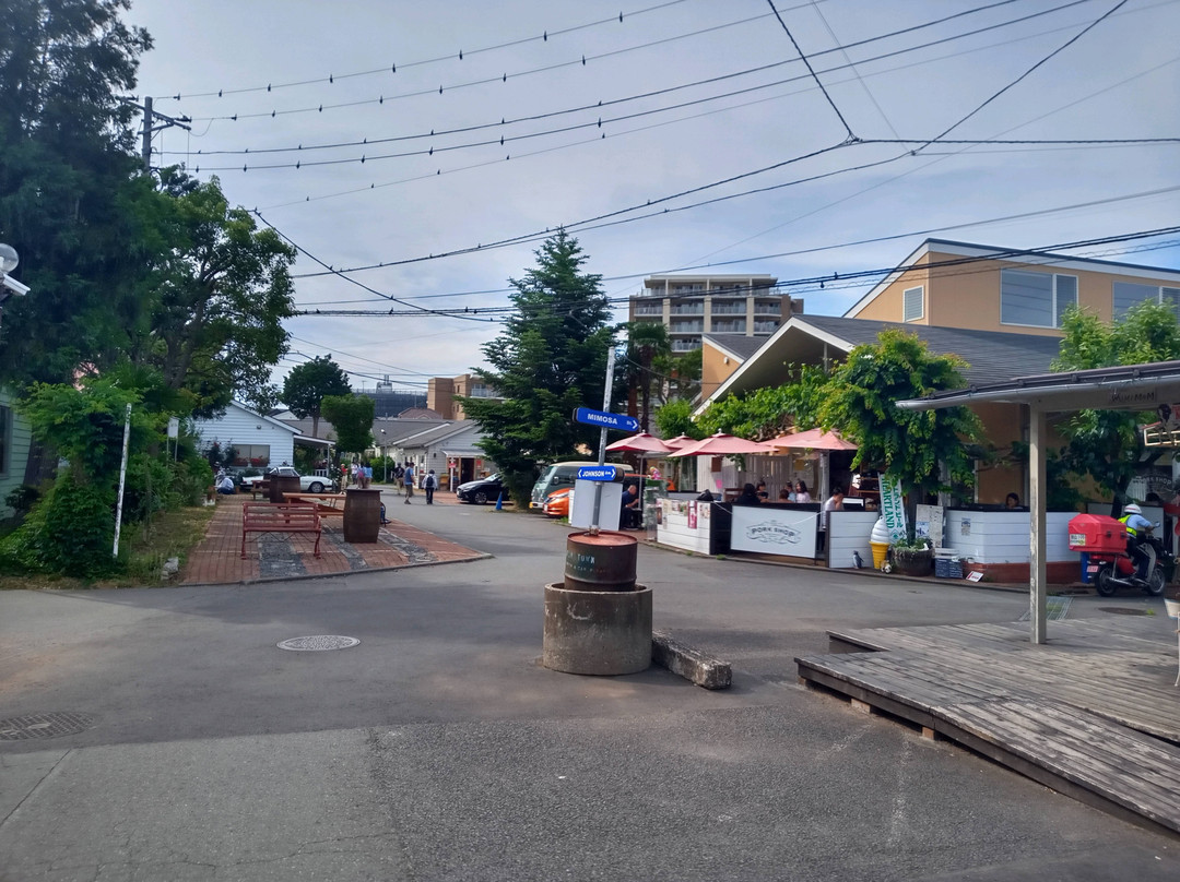 Johnson Town-入间市必去景点