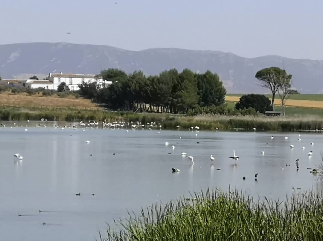 Caminos del Guadiana-Daimiel必去景点