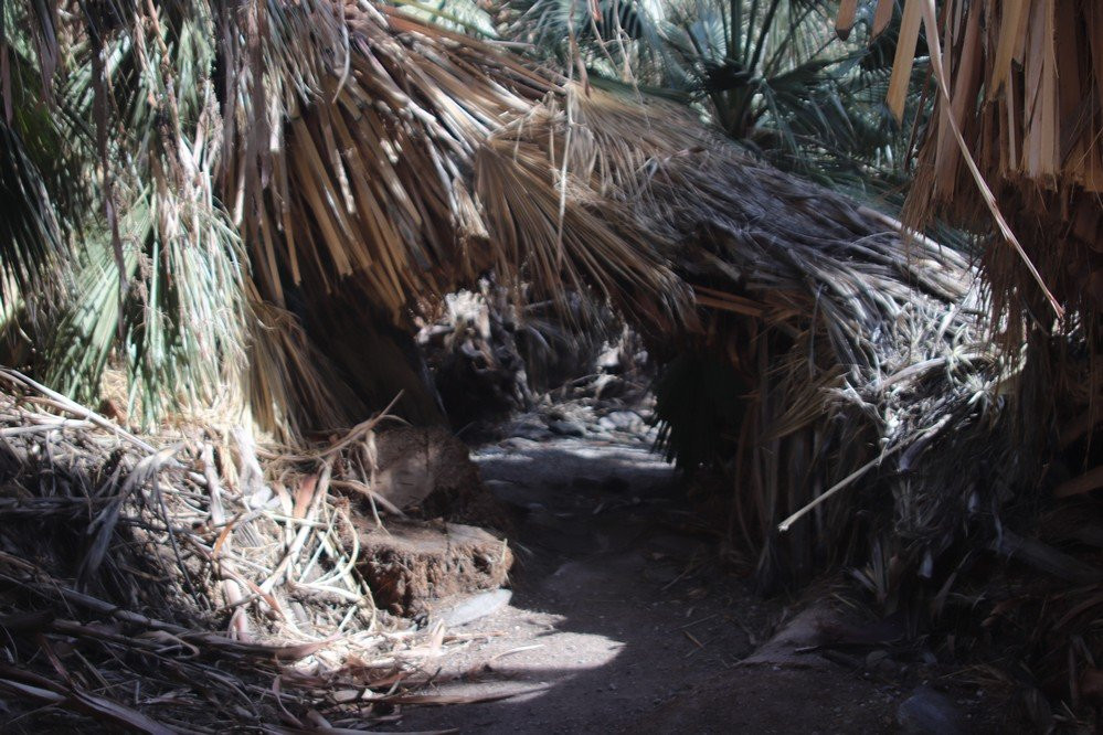 San Andres Trail-Salton City必去景点