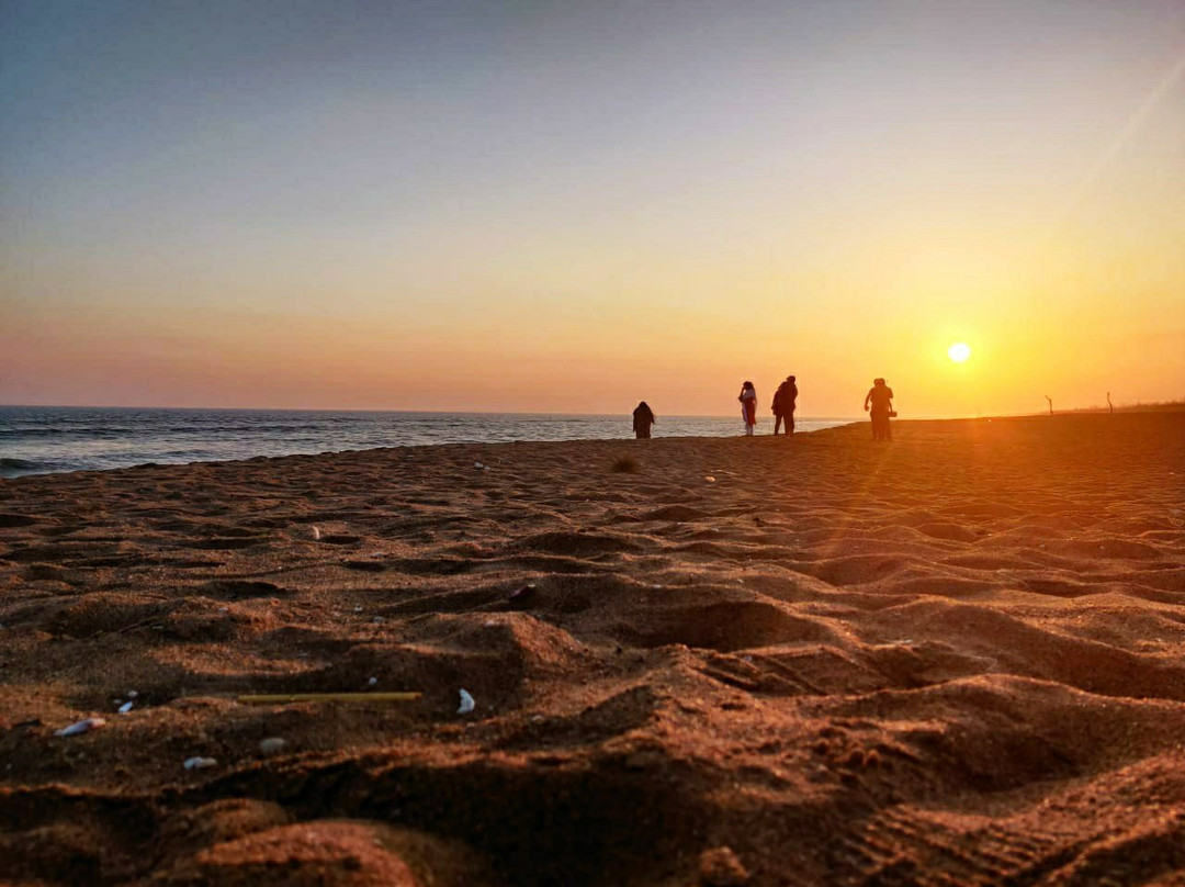 Baliharachandi Beach-普里必去景点