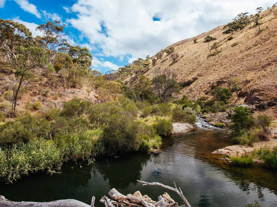 Myrniong旅游景点-Werribee Gorge State Park