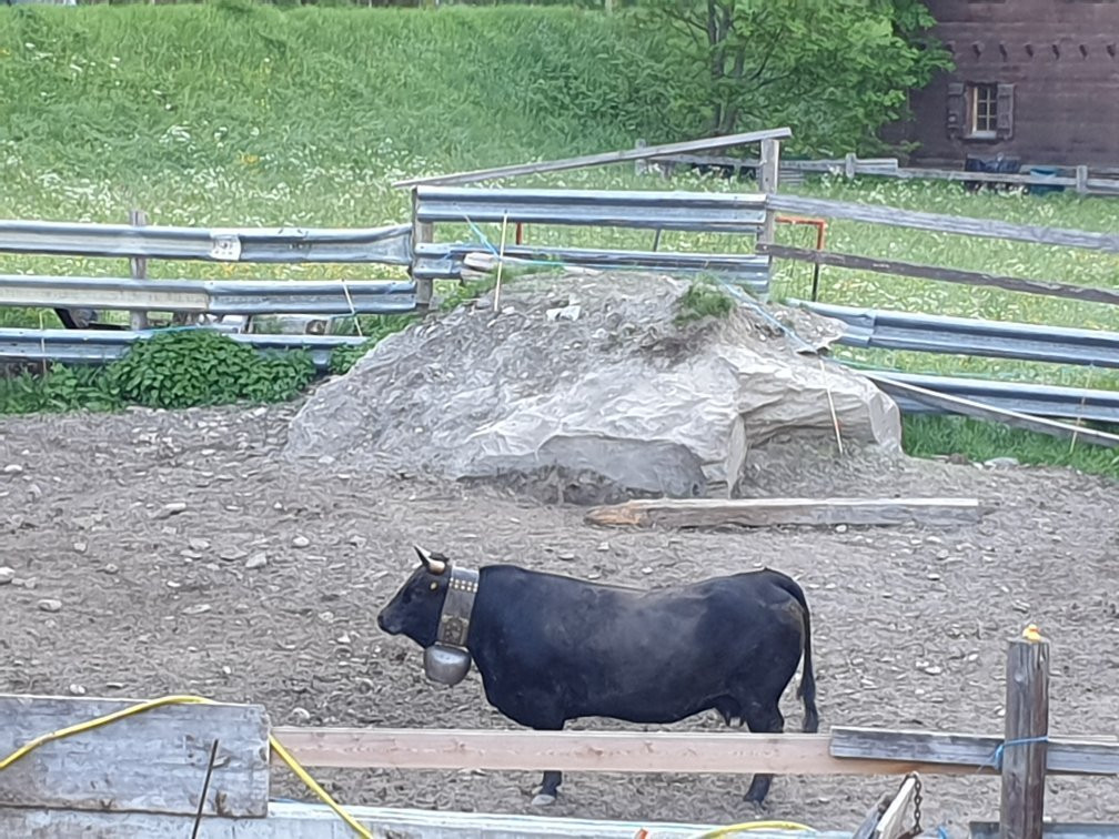 Gite Rural La Peniche主图