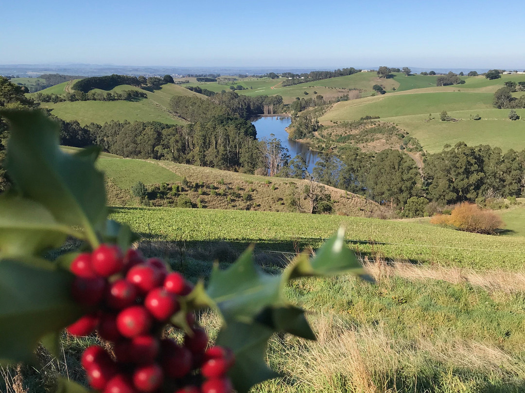 Lancey's Lookout-Arawata必去景点