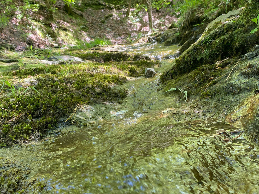 Beavers Bend State Park and Nature Center景点图片