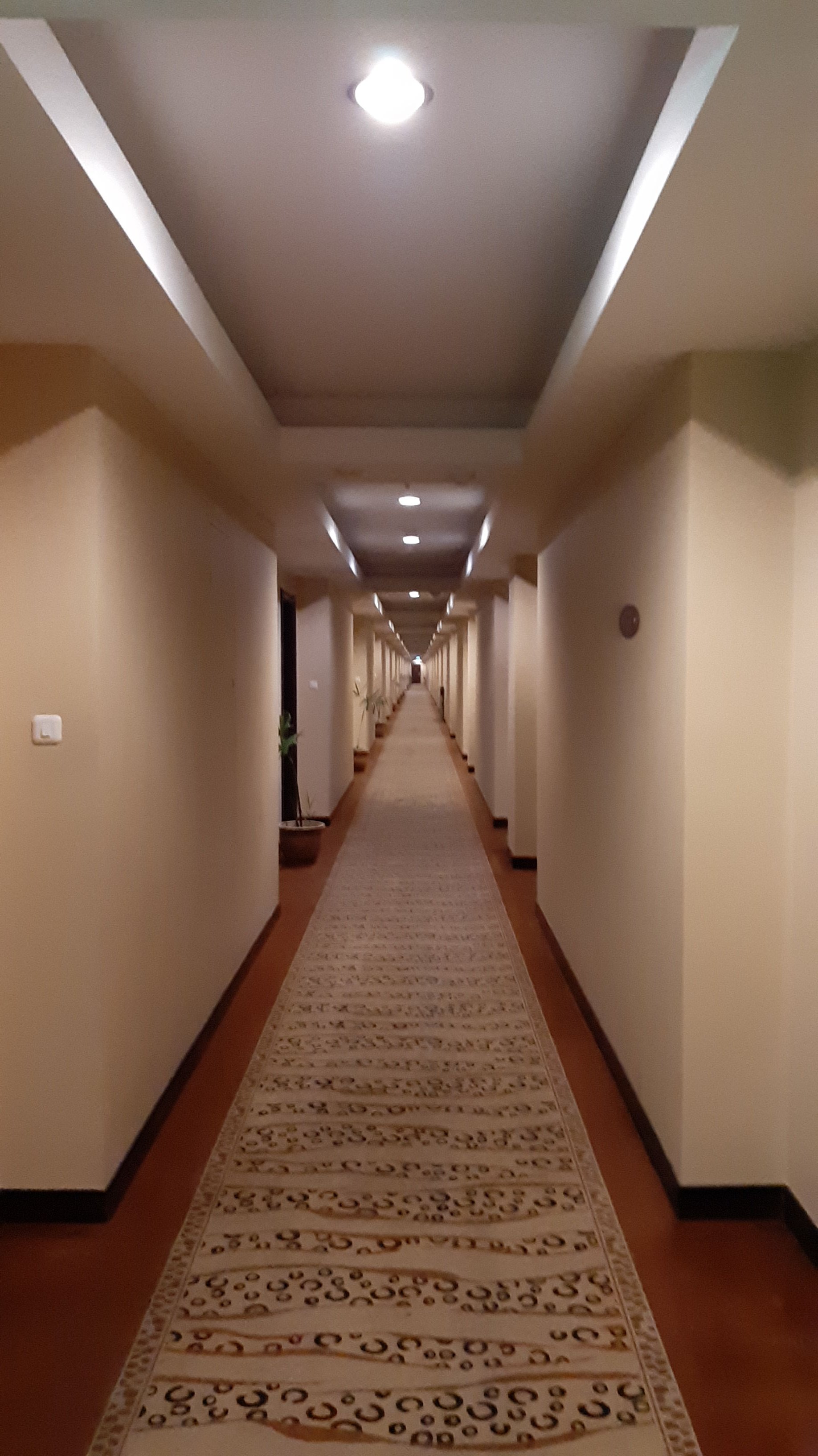 阿斯顿波恩提娜克酒店及会议中心-portrait