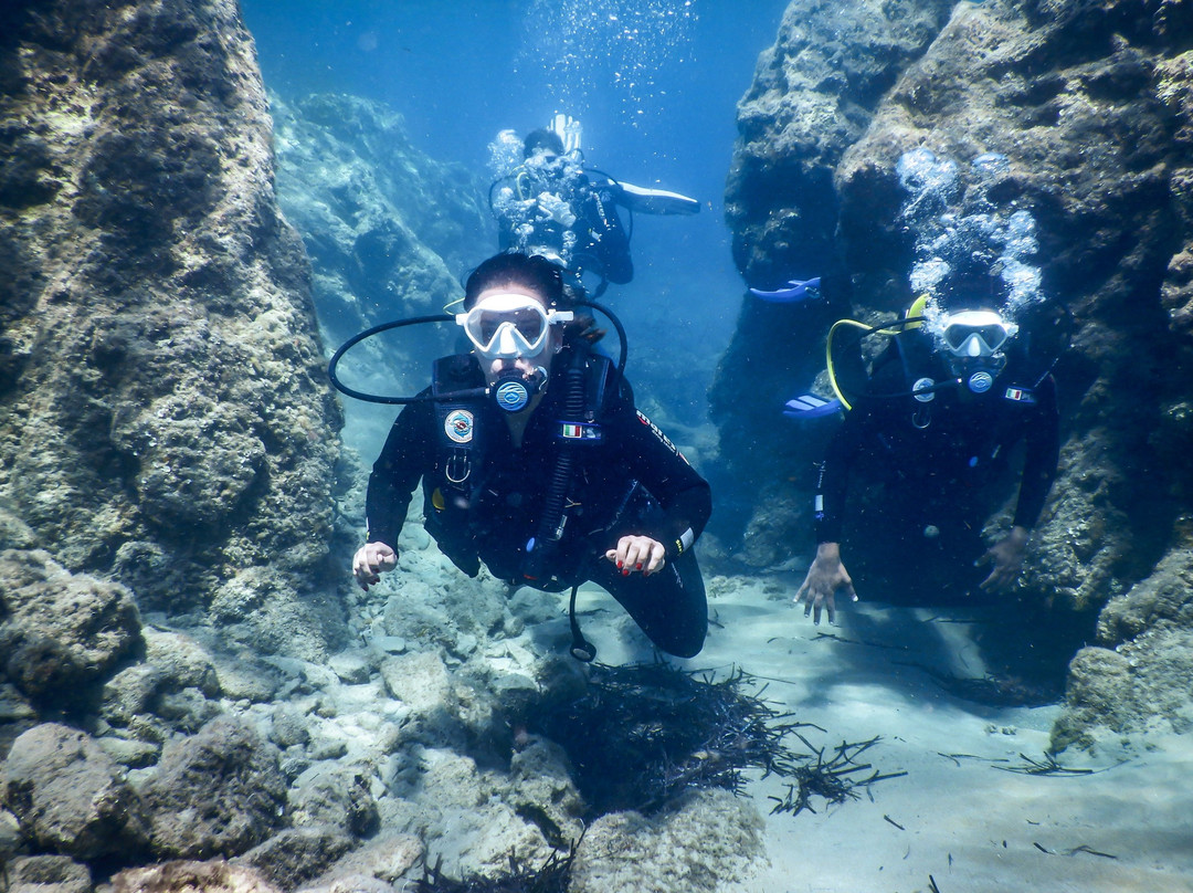 Wild Fun Dive-扎金索斯必去景点