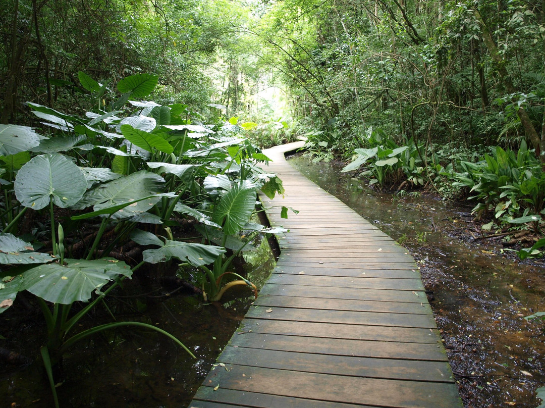 Wheel the world-库里提巴必去景点