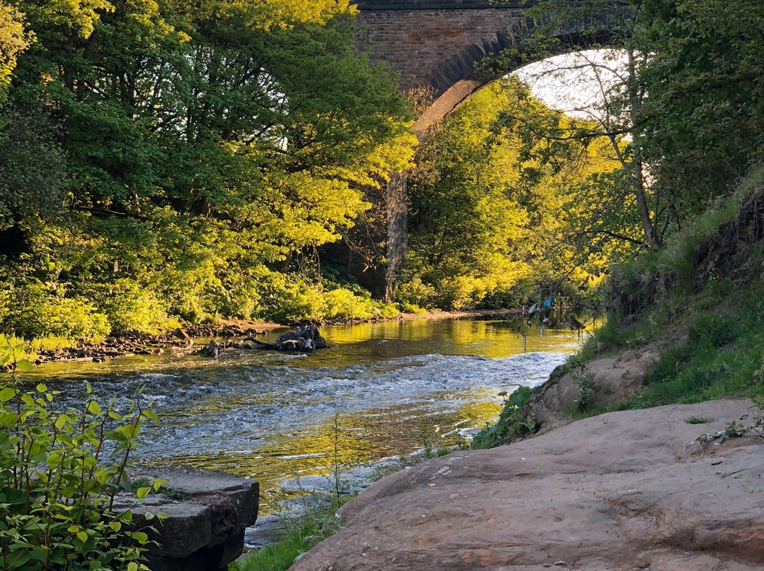 Prestwich Forest Park-曼彻斯特必去景点