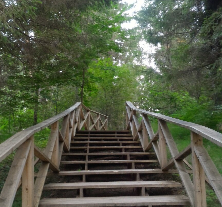 Memorial Museum Preserve, A. N. Ostrovsky景点图片