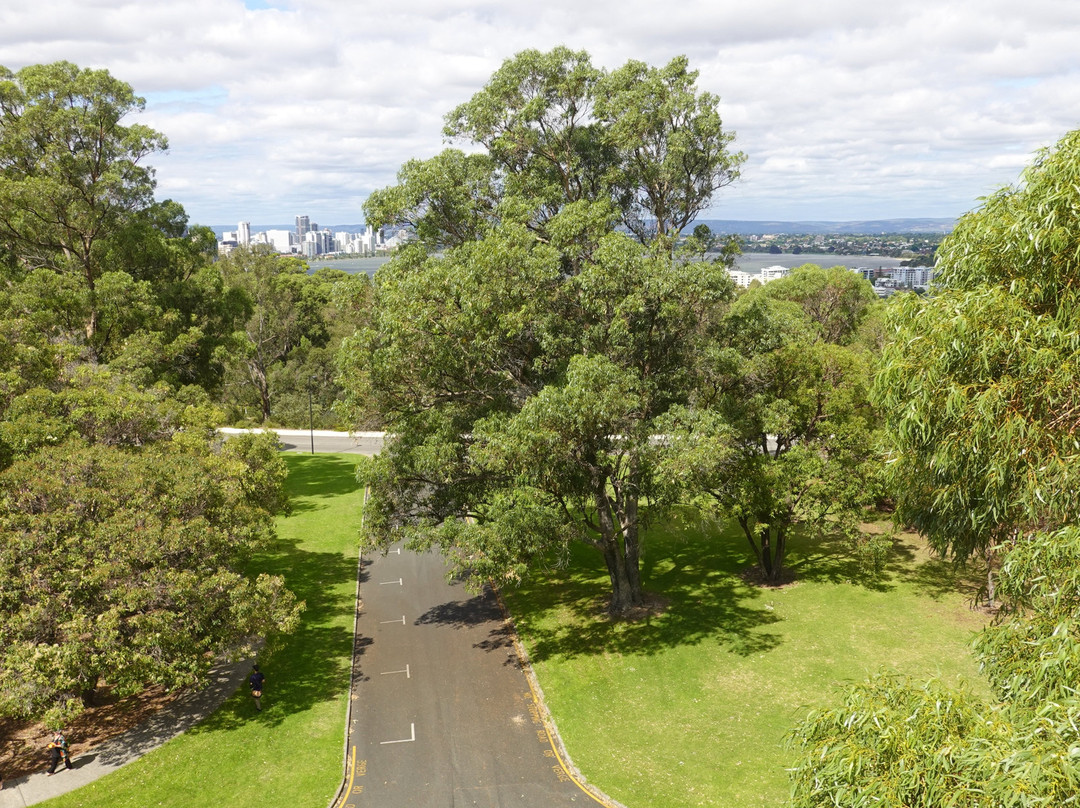 DNA Tower Climb-珀斯必去景点