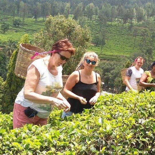 Nuwaraeliya Tours-康提必去景点
