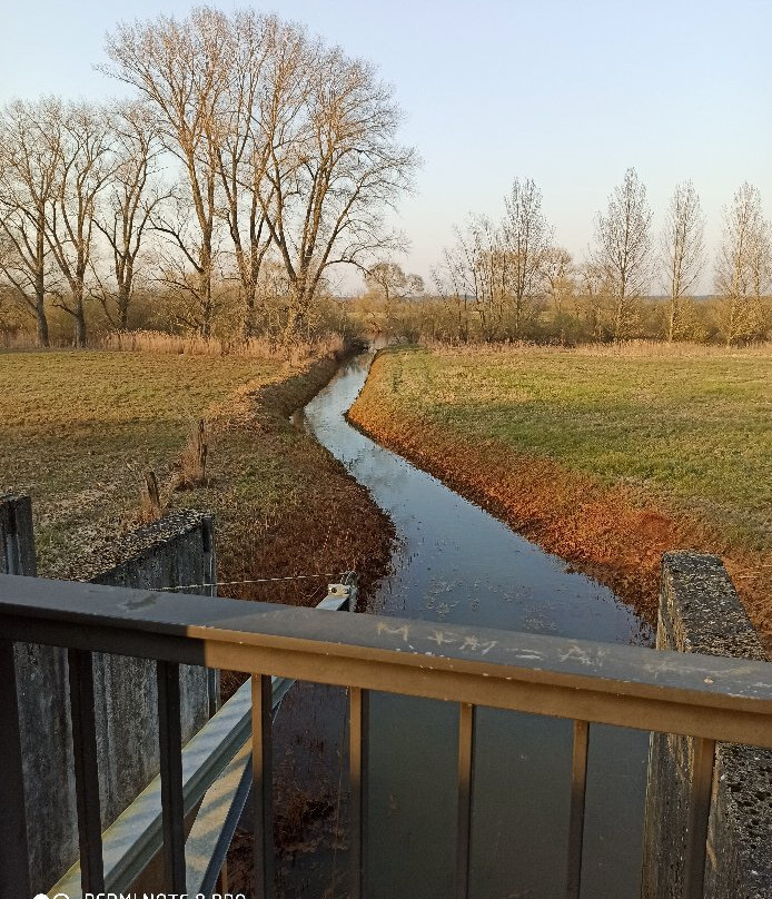 Ev.-luth. Kirchengemeinde Westen-Verden (Aller)必去景点