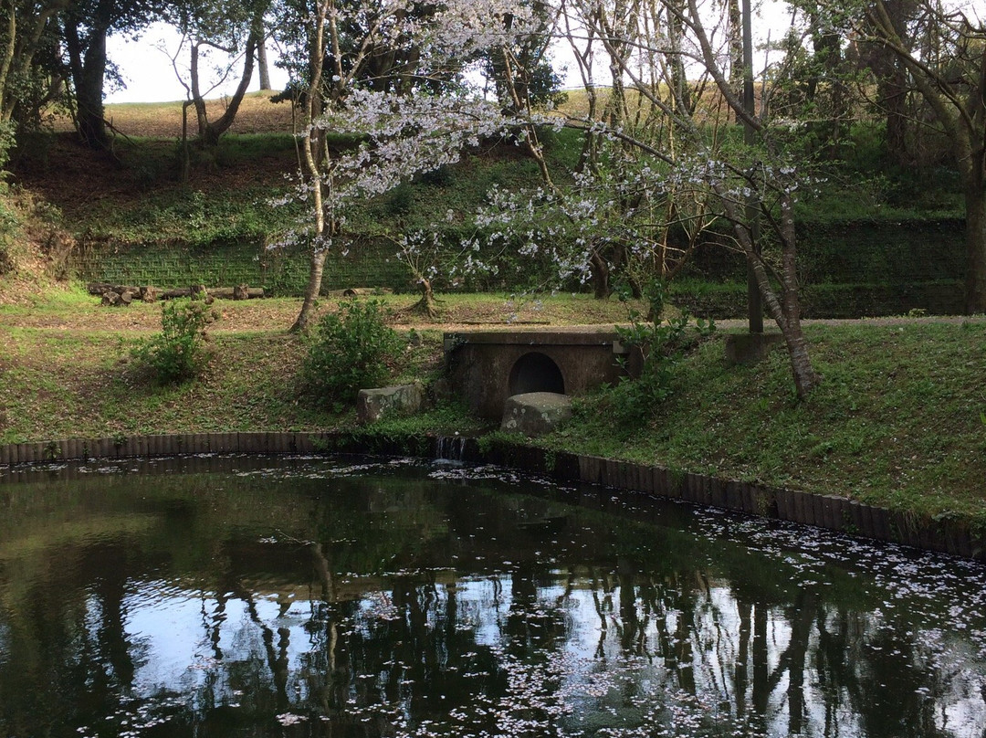 Tachioka Nature Park景点图片
