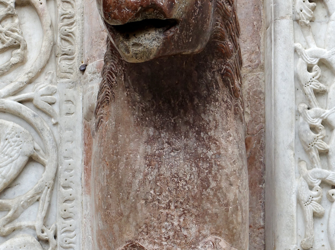 Cattedrale di San Feliciano景点图片
