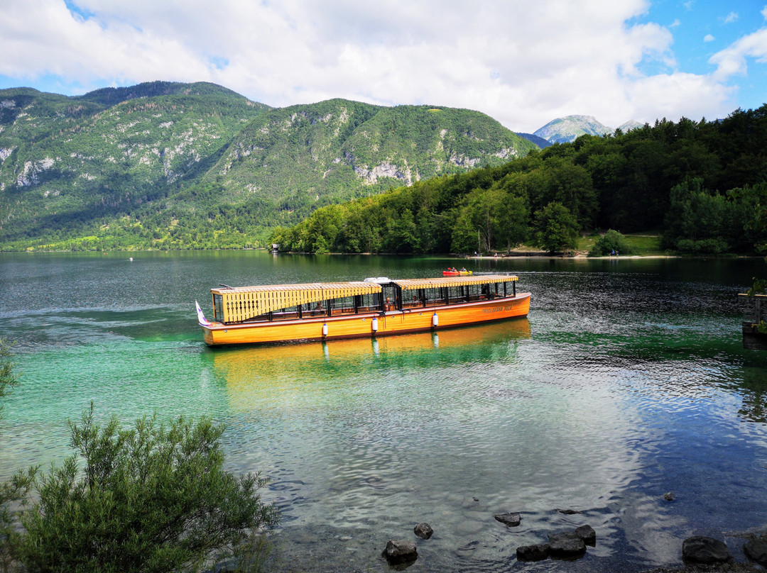Boat Bohinj景点图片