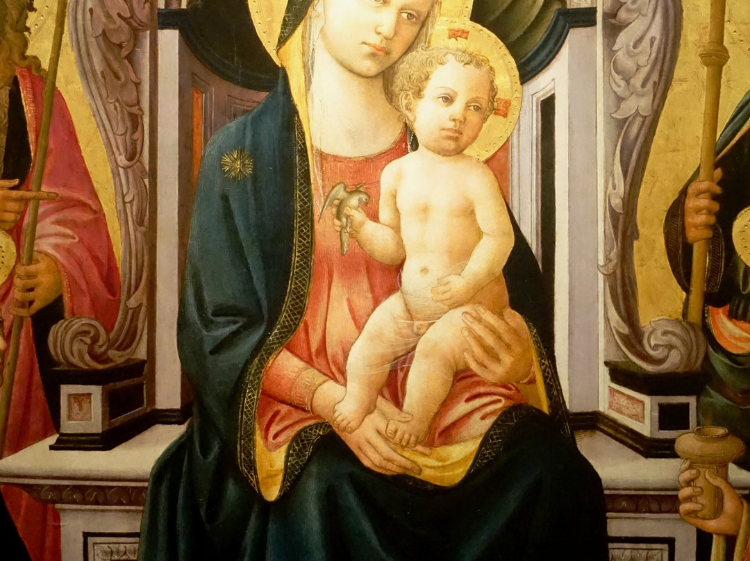 Museo della Basilica di S. Maria delle Grazie景点图片