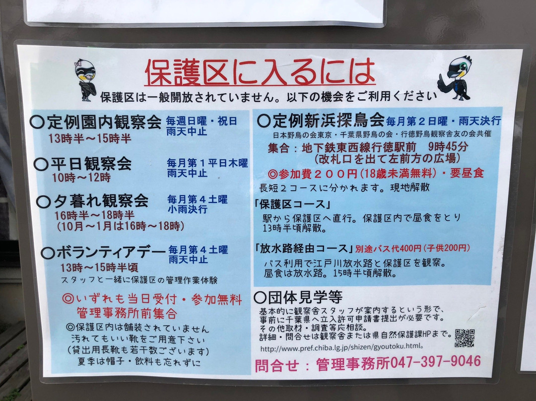 Gyotoku Birdwatching Facility-市川市必去景点