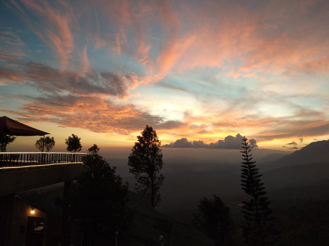 Shangrilla Tea Haven Motel主图