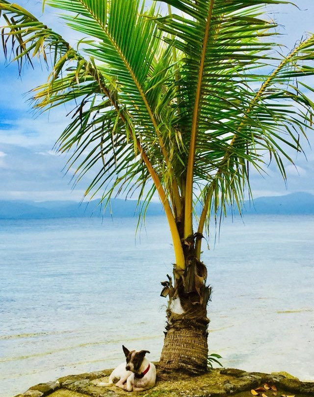 摩尔波尔T微风海滨度假村主图