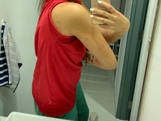 Adina Drive In Motel主图