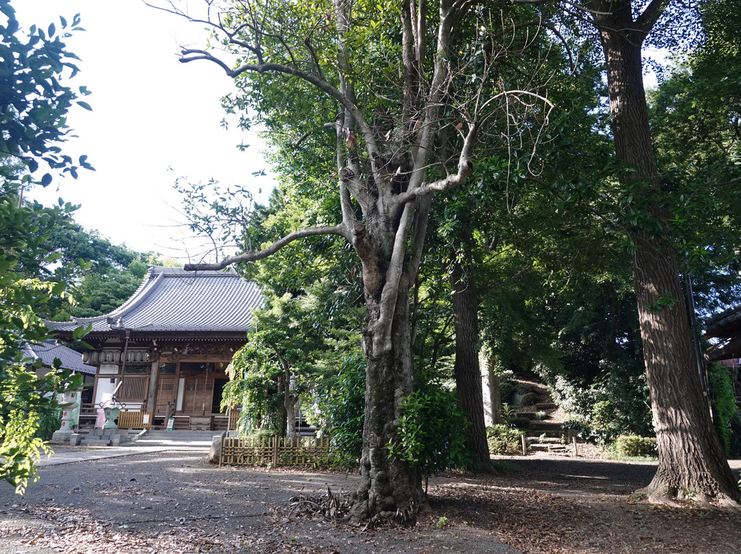 Tokusho-ji Temple-上尾市必去景点