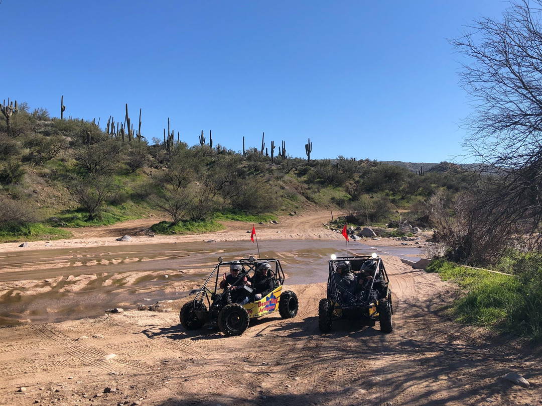 Desert Dog Offroad Adventures-凤凰城必去景点