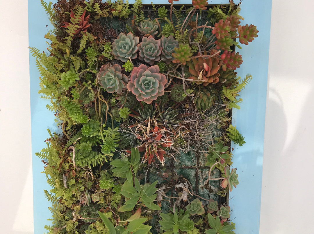 Hotel Casa Somerscales主图