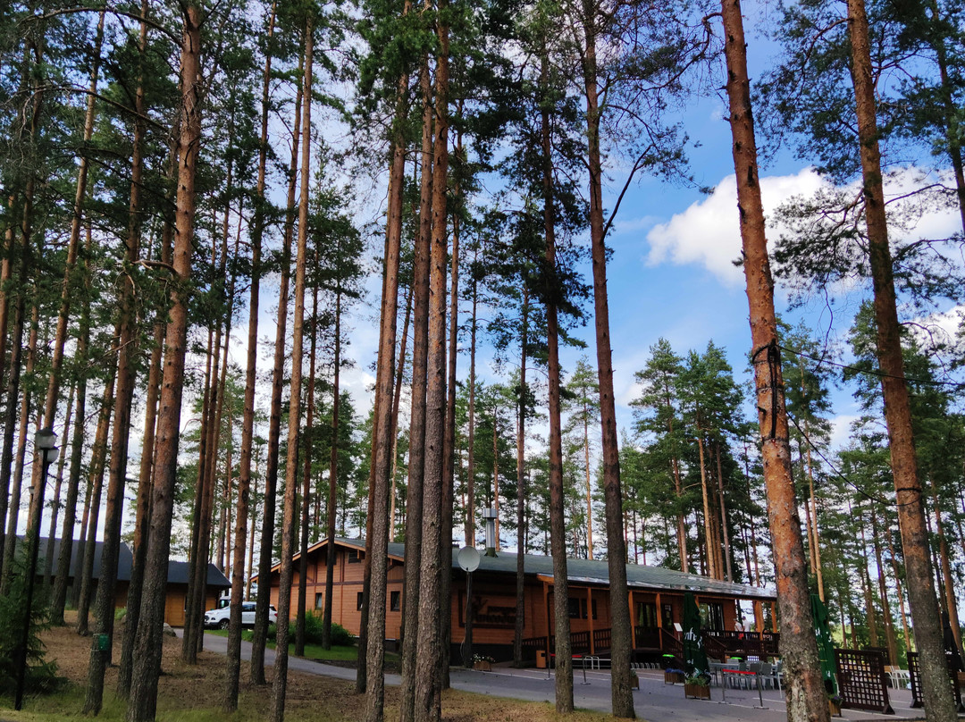 Lesnaya Rapsodiya主图