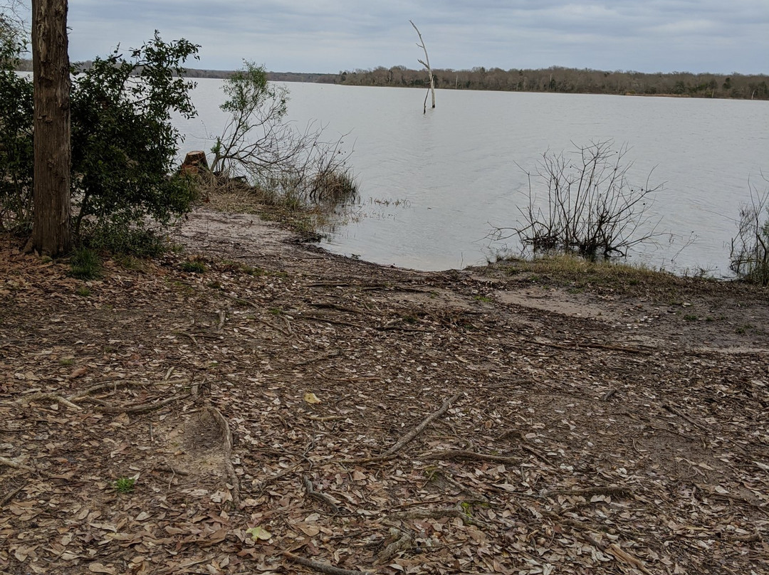 Purtis Creek State Park景点图片