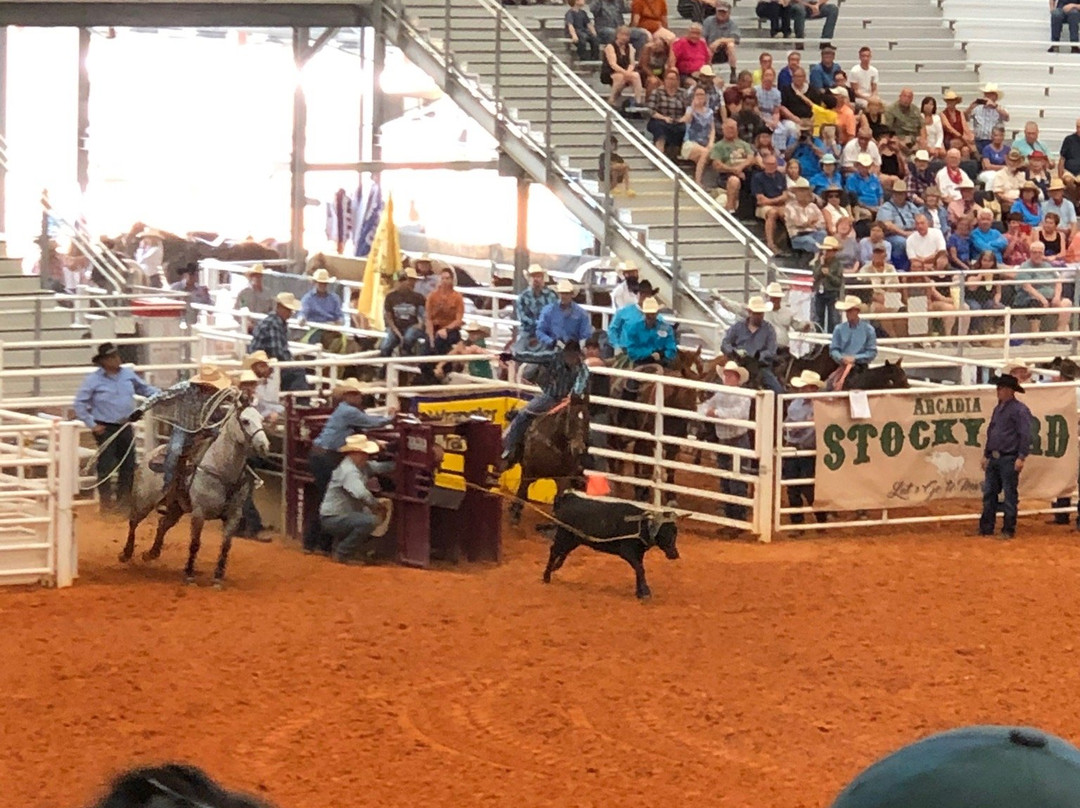 Arcadia All-Florida Championship Rodeo-阿卡迪亚必去景点