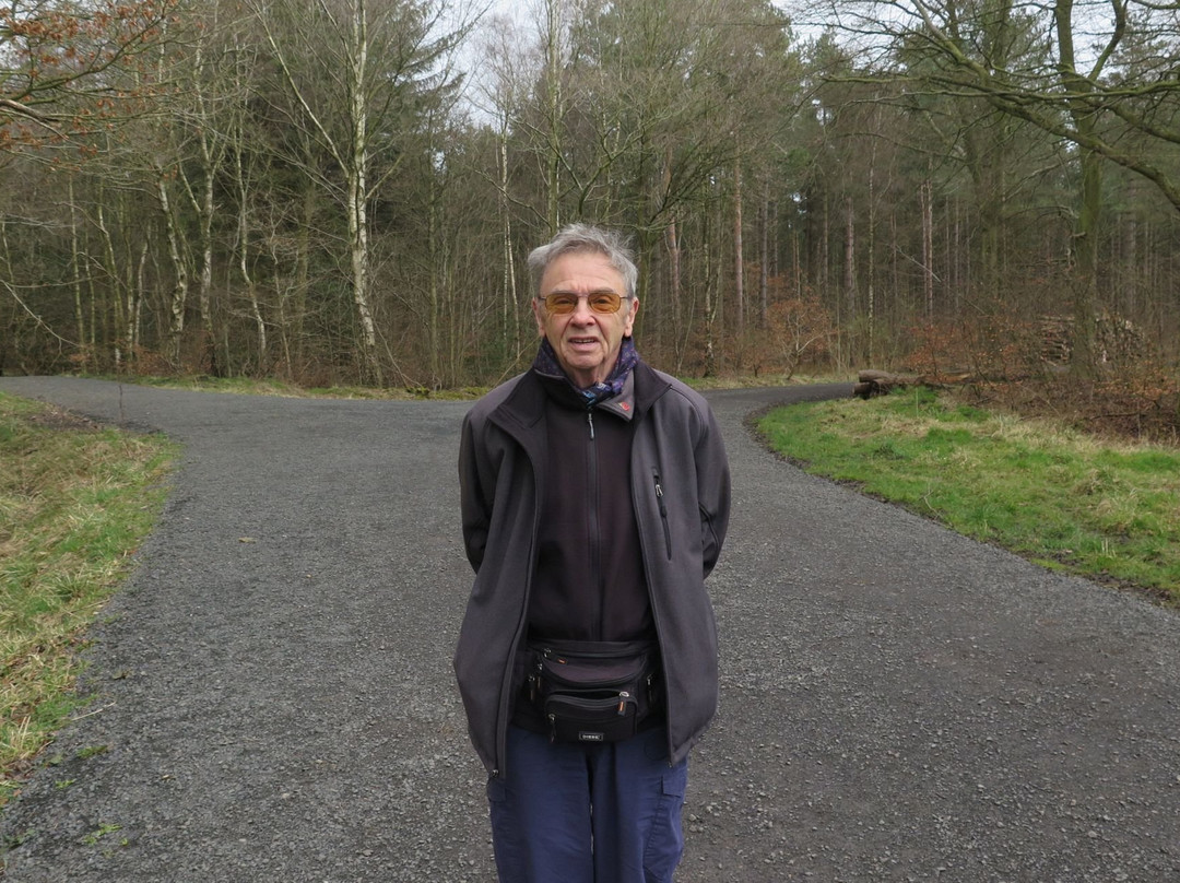 Chopwell Wood-Chopwell必去景点