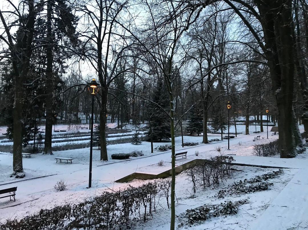 Chess Park景点图片