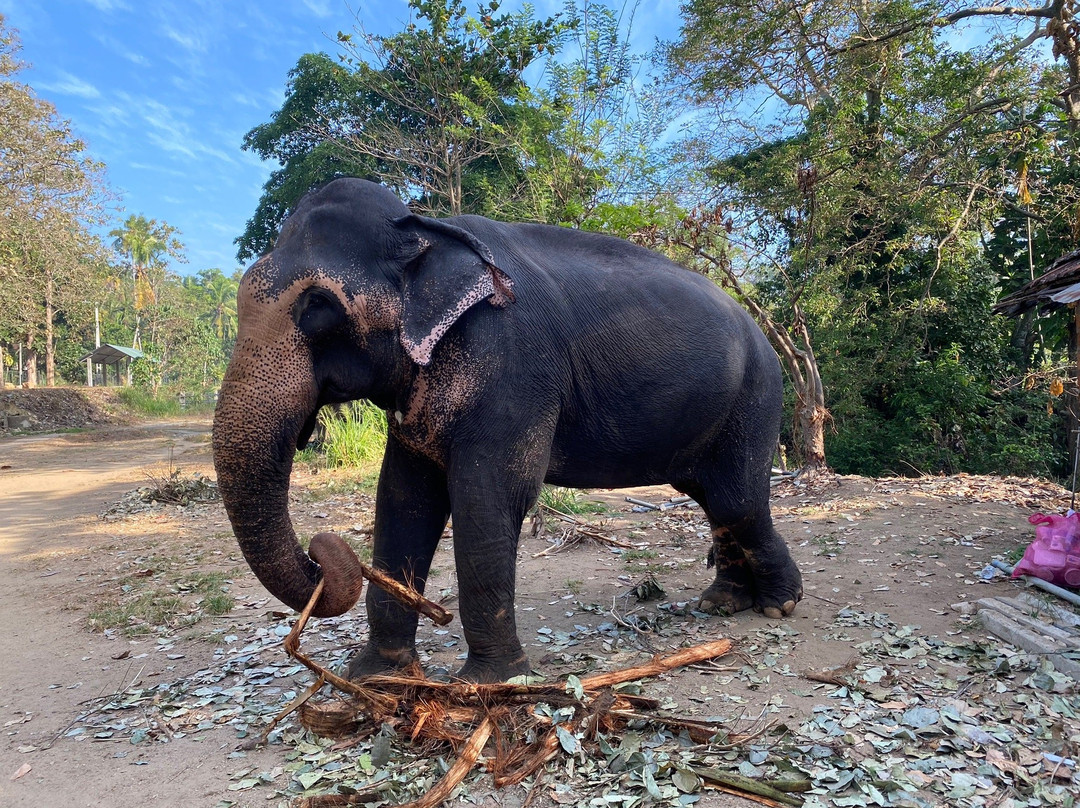 Villa Ocean View Hotel主图