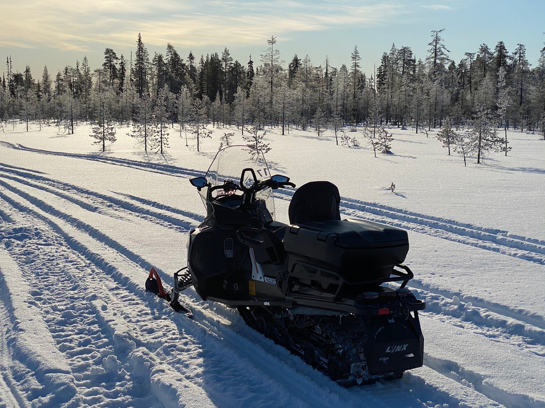 Lapland Safaris Luosto景点图片