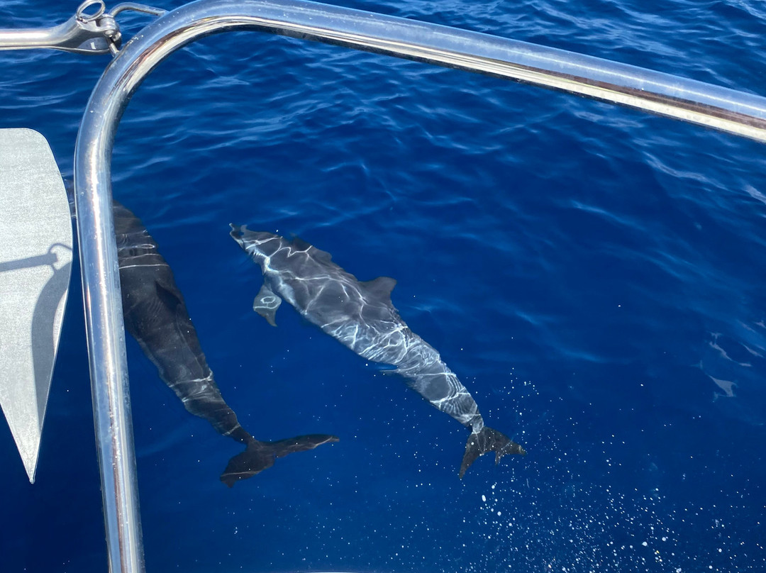 Land & Sea-Trois-Ilets必去景点