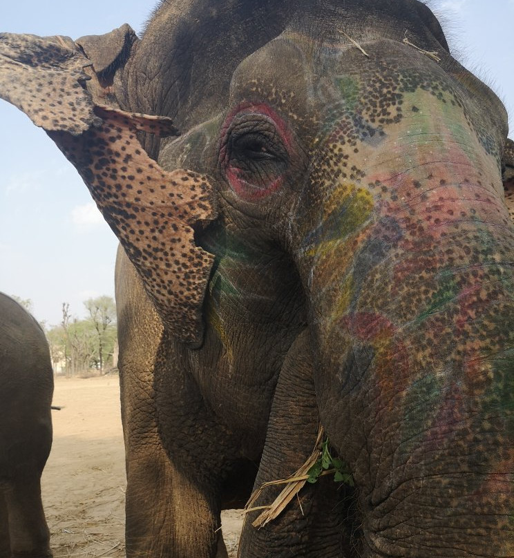 Ele Experience Farm-斋蒲尔必去景点